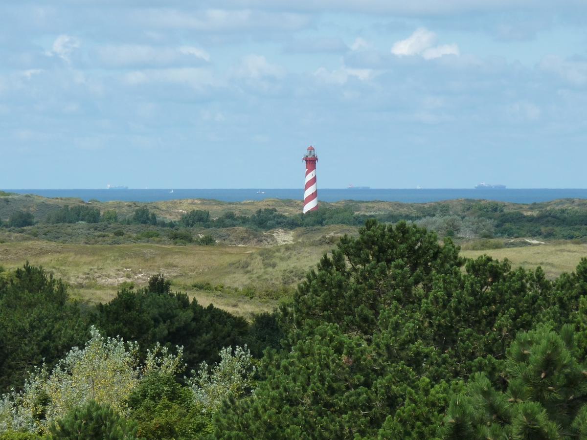 Ginsterveld * Burgh-Haamstede